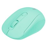 Everest SM-300 Usb Yeşil 4D Optik Süper Sessiz Alkalin Pil Kablosuz Mouse